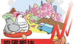 鸡蛋期货最新爆料,最新爆料揭示价格波动背后真相